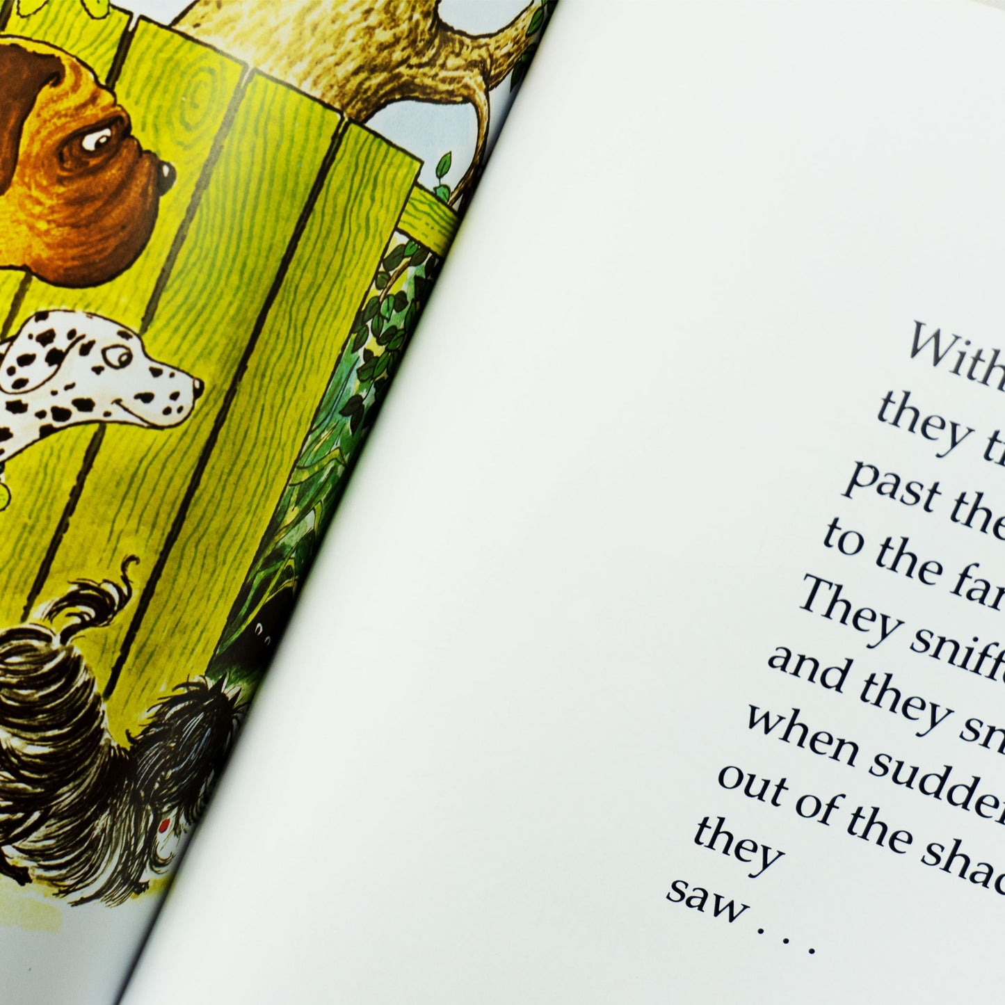 Hairy Maclary and Friends by Lynley Dodd 10 Books Collection Set - Age 3+- Paperback