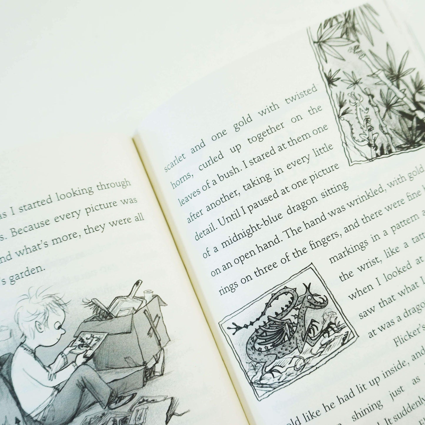 The Boy Who Grew Dragons Series 5 Books Collection By Andy Shepherd - Age 5-9 - Paperback