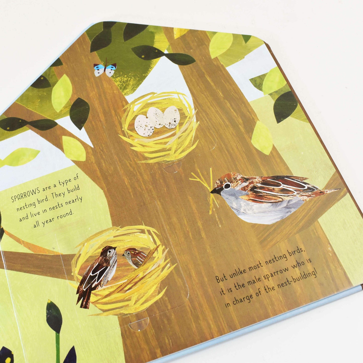 A Clover Robin Book of Nature Series 3 Books Lift-the-flap Collection Set (Bird House, Bug Hotel & Animal Homes)- Ages 0-5 - Board Book