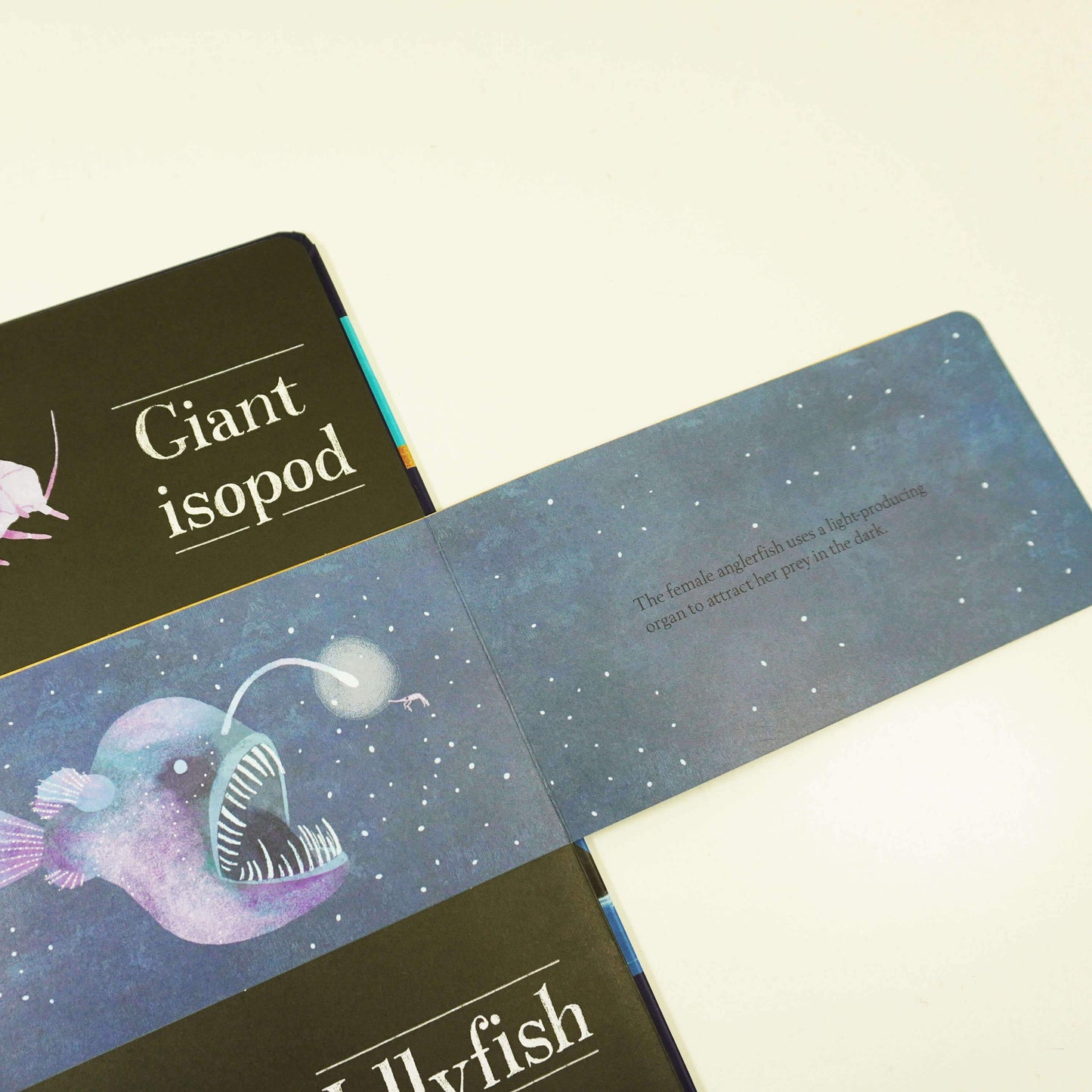 Lift the Flap Hidden World Series 3 Books Collection Set By Libby Walden, Stephanie Fizer Coleman - Ages 0-5 - Hardback