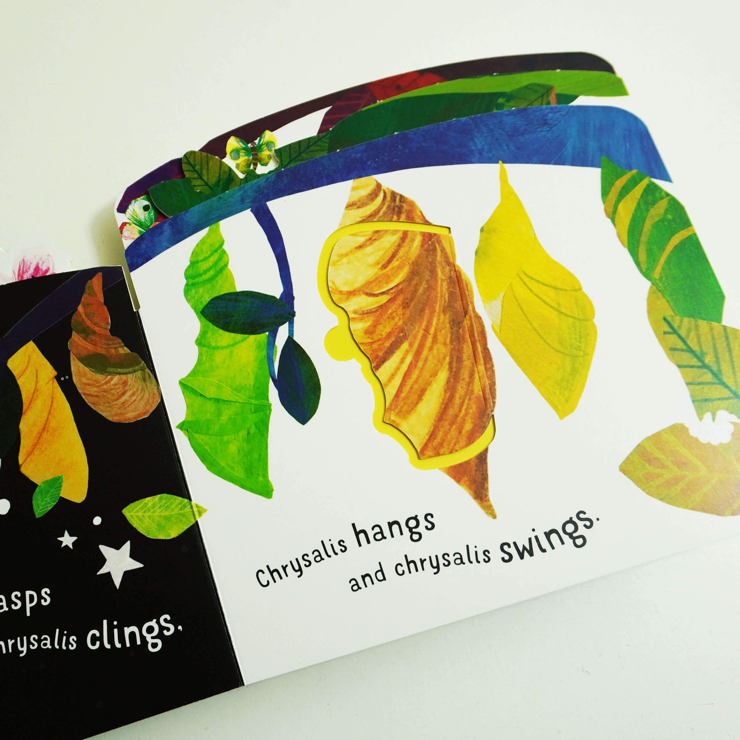 First Nature 4 Books Childrens Collection Set (ANT, BEE, CATERPILLAR & LADYBIRD) By Harriet Evans - Ages 0-5 - Board Book