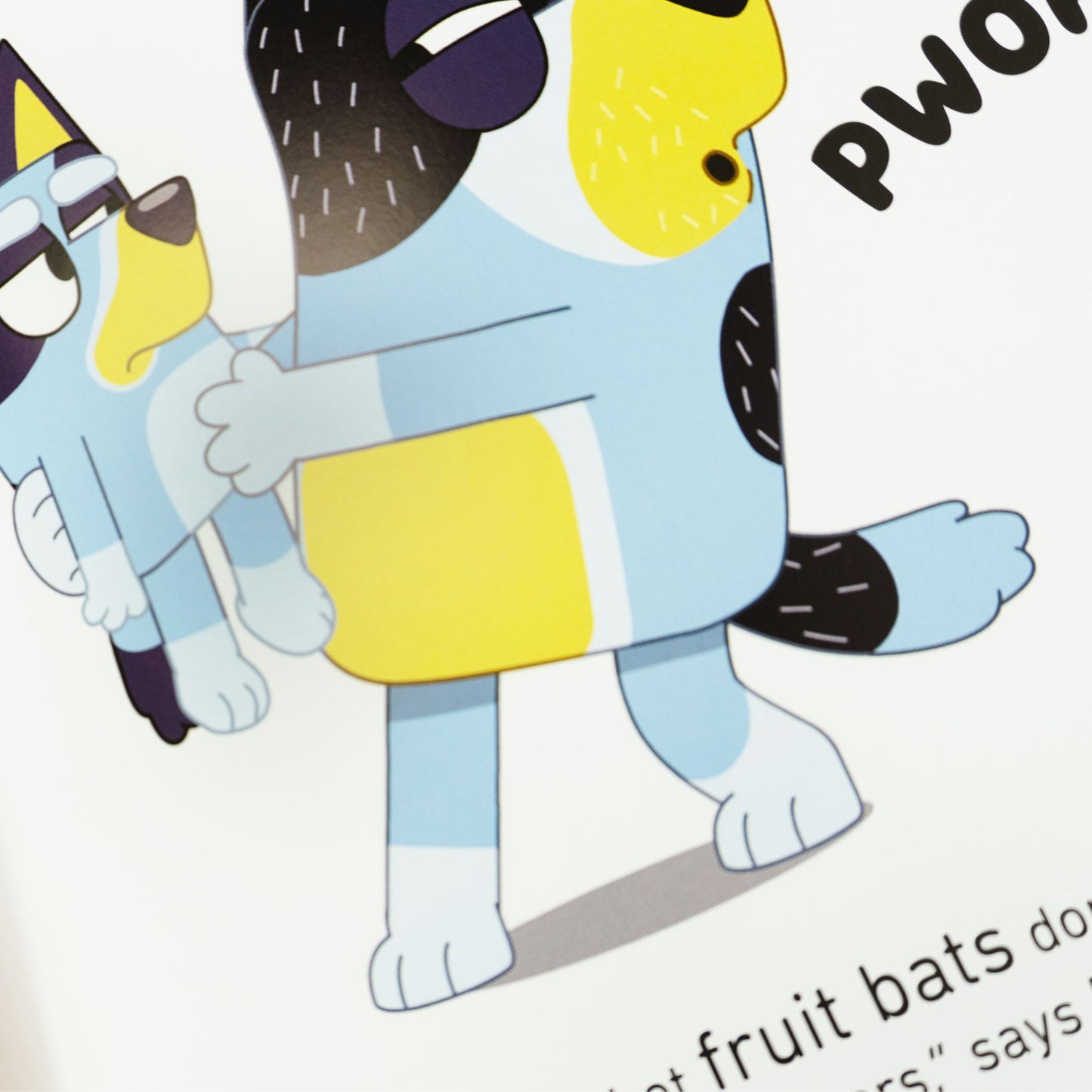 Bluey 5 Picture Books Collection Set - Ages 3-7 - Paperback