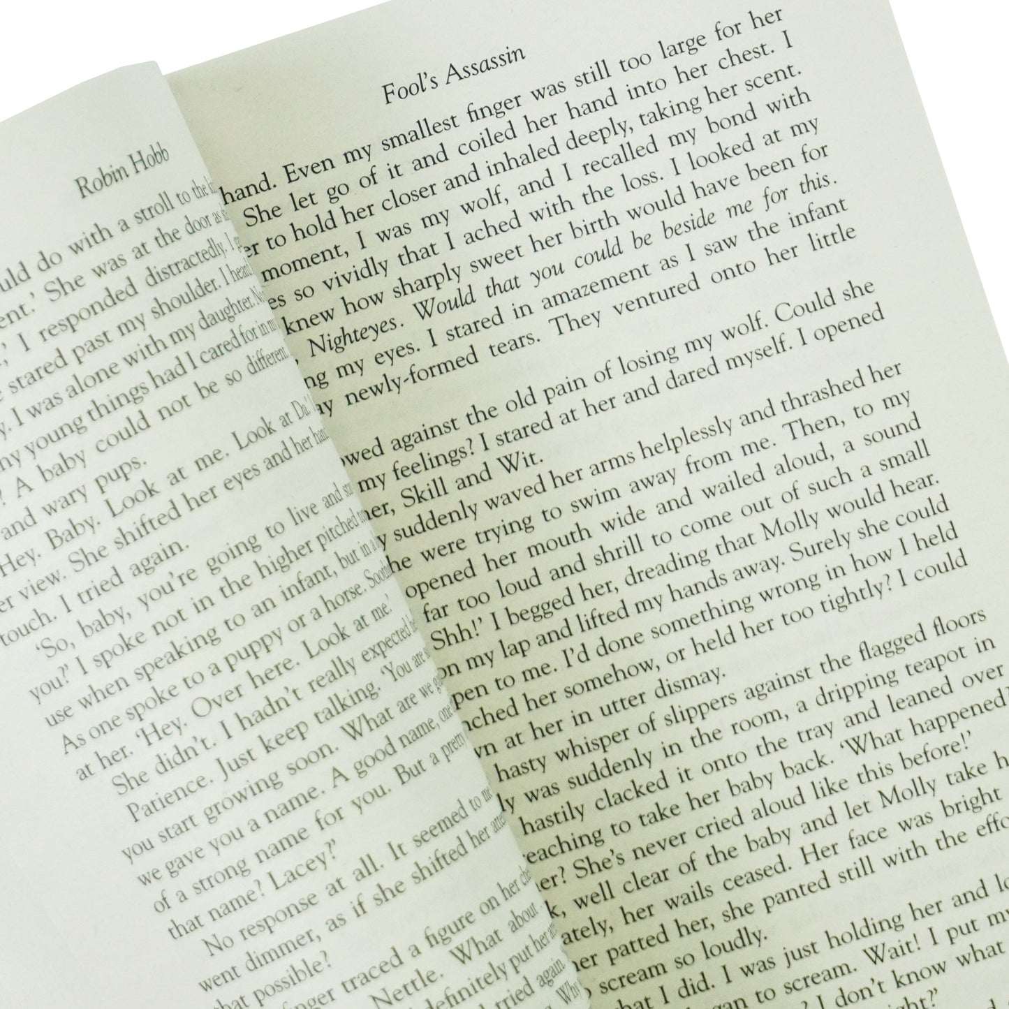 Fitz and the Fool Trilogy by Robin Hobb 3 Books Collection Set - Fiction - Paperback