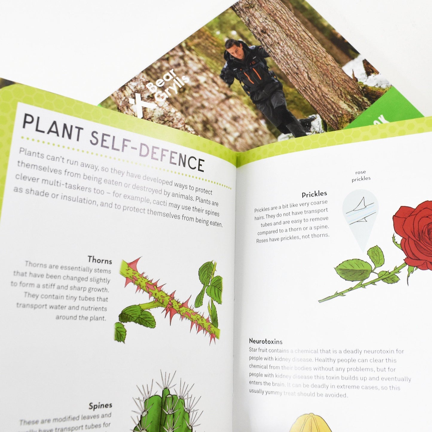 Bear Grylls Survival Skills Handbook Collection Series 10 Books - Age 9 years and up - Hardback