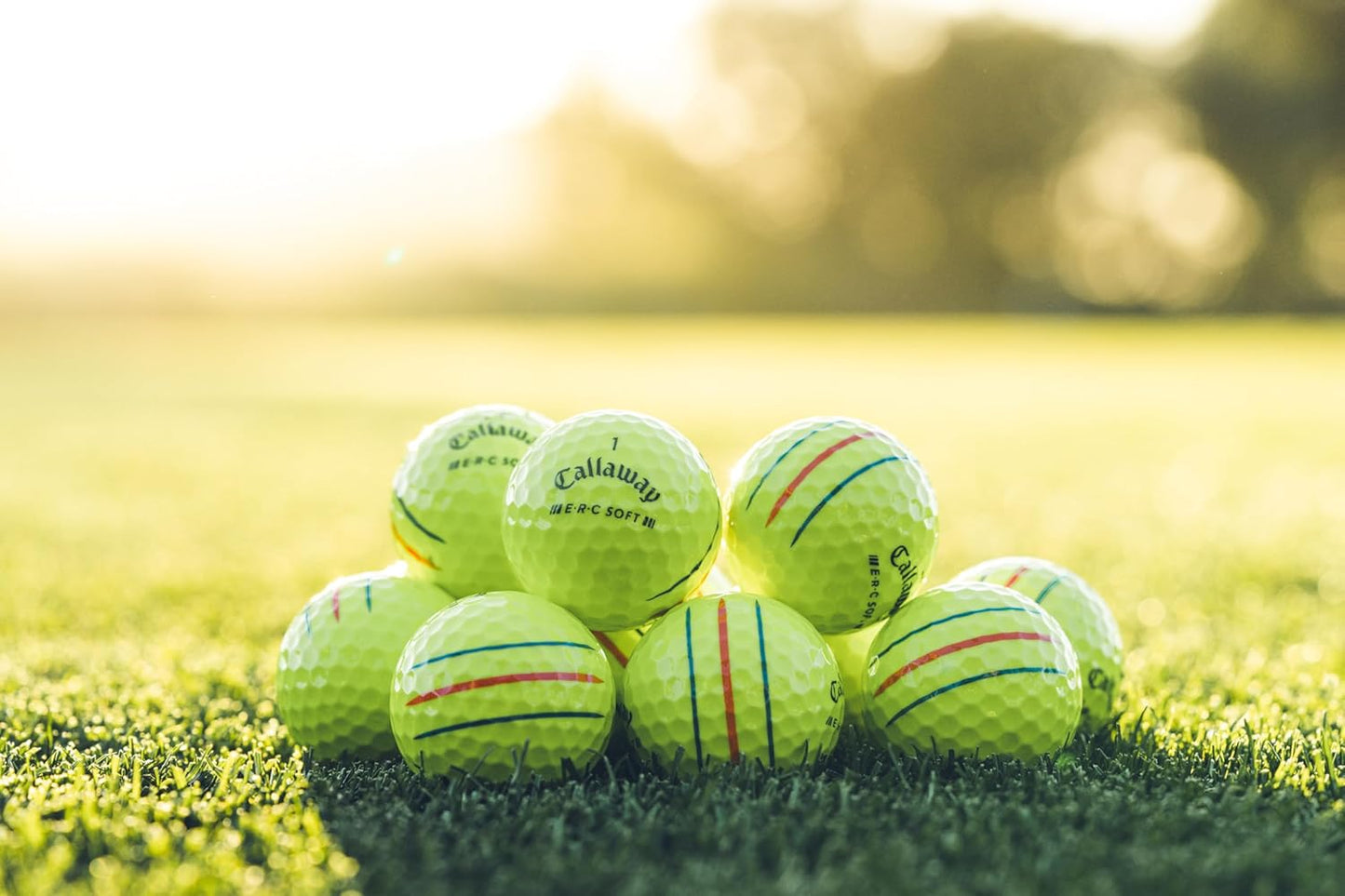 Golf ERC Soft Golf Balls