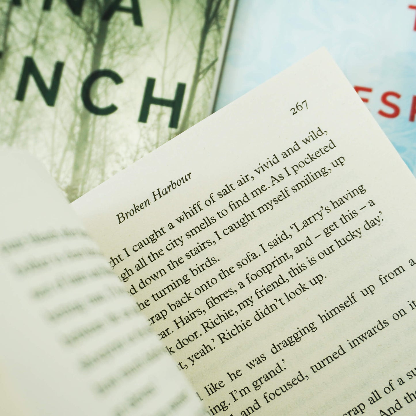 The Dublin Murder Squad Series by Tana French 6 Books Collection Set - Fiction - Paperback