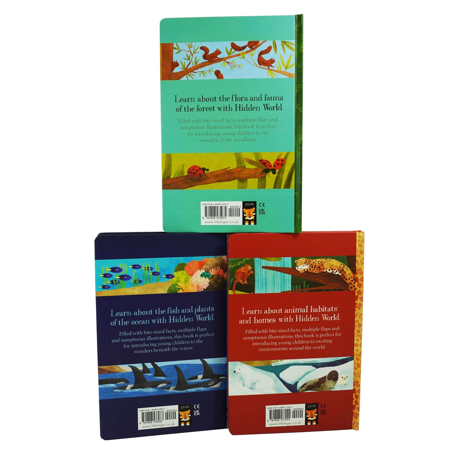 Lift the Flap Hidden World Series 3 Books Collection Set By Libby Walden, Stephanie Fizer Coleman - Ages 0-5 - Hardback