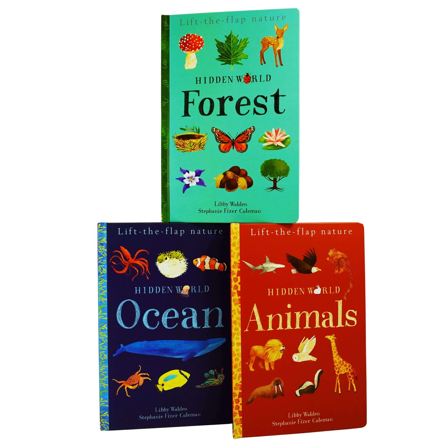 Lift the Flap Hidden World Series 3 Books Collection Set By Libby Walden, Stephanie Fizer Coleman - Ages 0-5 - Hardback