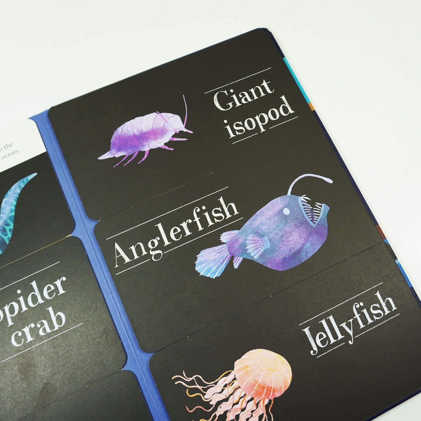 Lift the Flap Hidden World Series 3 Books Collection Set By Libby Walden, Stephanie Fizer Coleman - Ages 0-5 - Hardback