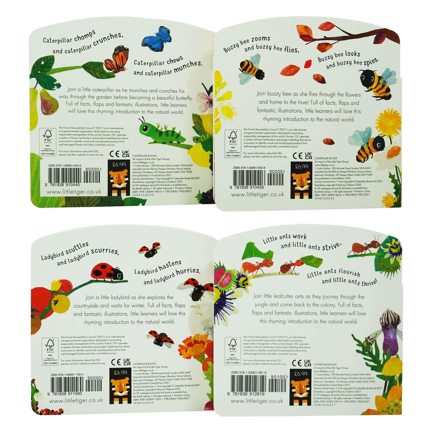 First Nature 4 Books Childrens Collection Set (ANT, BEE, CATERPILLAR & LADYBIRD) By Harriet Evans - Ages 0-5 - Board Book