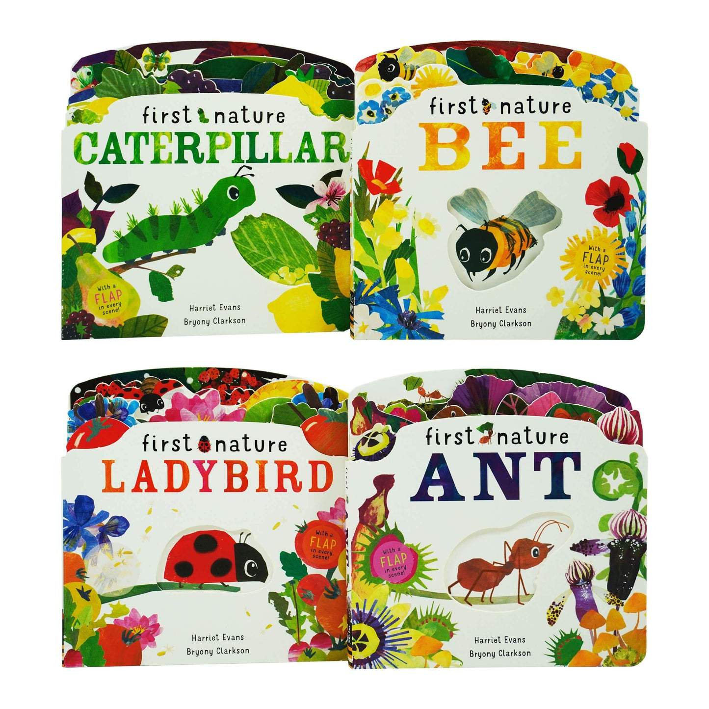 First Nature 4 Books Childrens Collection Set (ANT, BEE, CATERPILLAR & LADYBIRD) By Harriet Evans - Ages 0-5 - Board Book