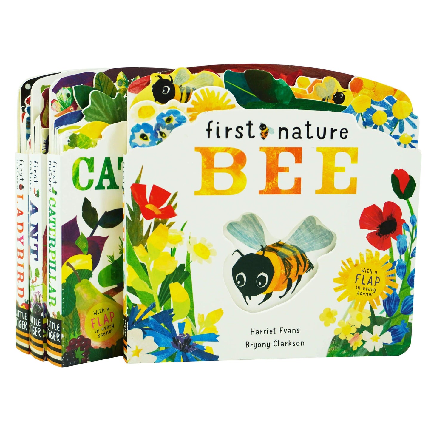 First Nature 4 Books Childrens Collection Set (ANT, BEE, CATERPILLAR & LADYBIRD) By Harriet Evans - Ages 0-5 - Board Book
