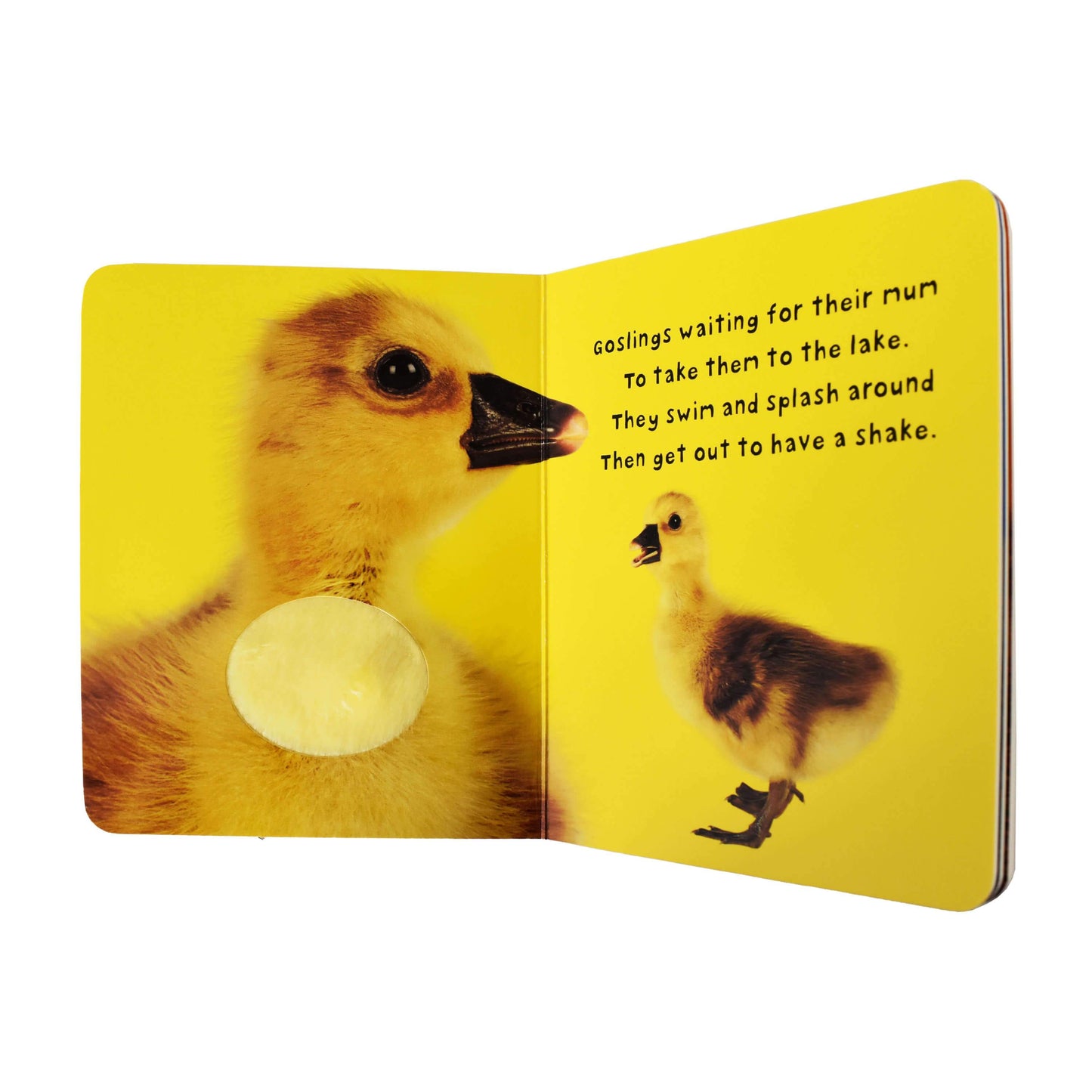 Bright Baby Touch & Feel Slipcase 4 Books by Priddy Books - Ages 0-5 - Board Book