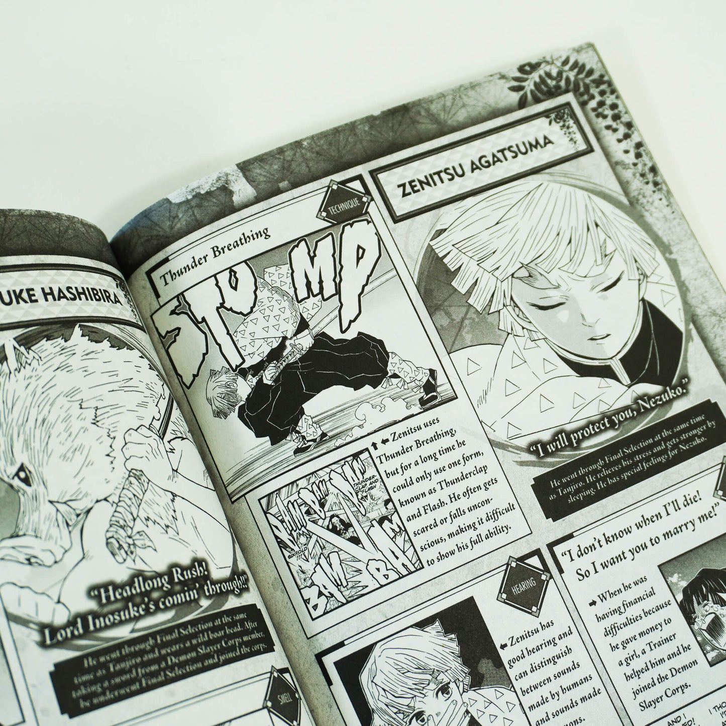 Demon Slayer by Koyoharu Gotouge: Vol. 1-23 Complete Box Set - Ages 14+ - Paperback