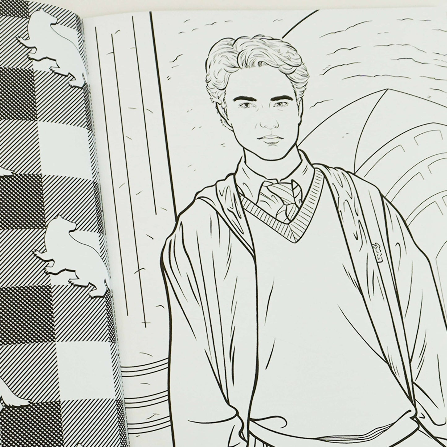 Harry Potter: An Official Colouring 4 Books Collection Set by Various Contributors - Paperback